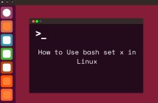 How to Read a File Line by Line in Bash [5 Easy Methods]