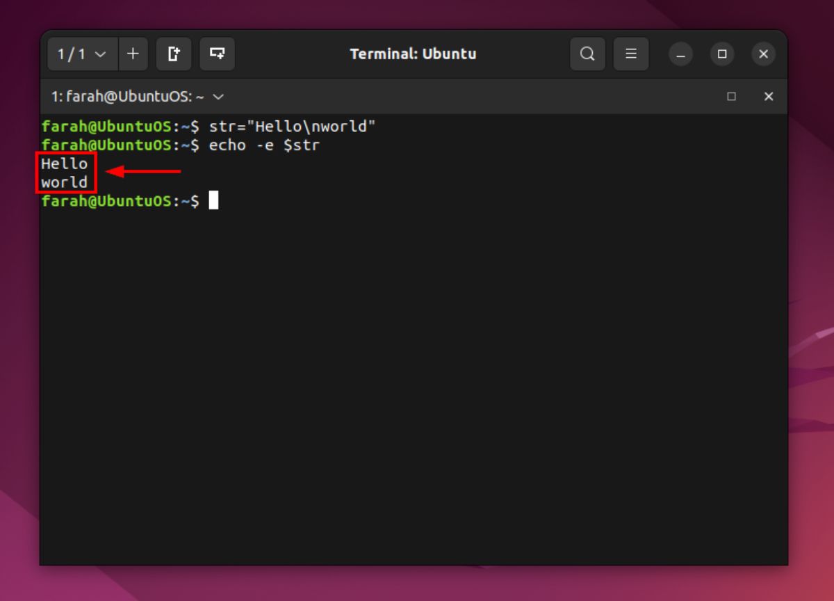 4 Best Ways to echo a New Line in Bash