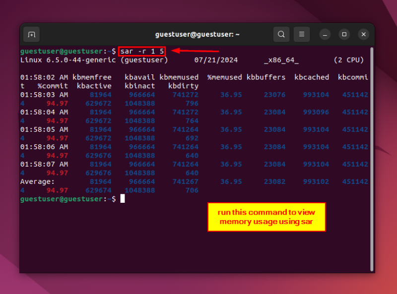 How to Check Memory in Linux [8 Easy Ways]