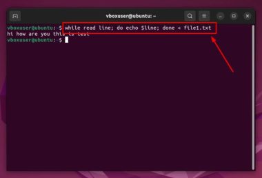 How to Read a File Line by Line in Bash [5 Easy Methods]