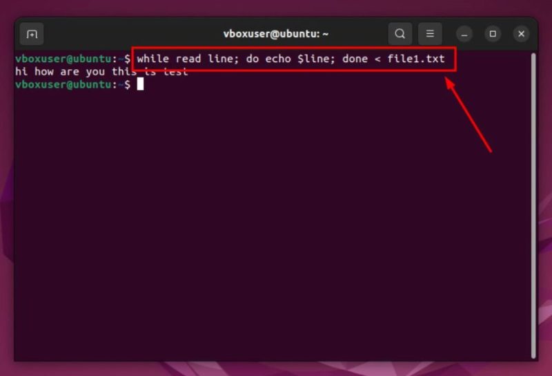 How to Read a File Line by Line in Bash [5 Easy Methods]