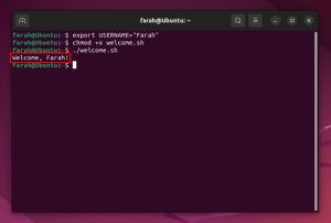 How to Run a Shell Script in Linux: 5 Best Ways