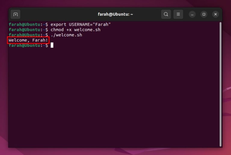 How to Run a Shell Script in Linux: 5 Best Ways