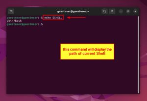 How to Know What Shell You are Using? [7 Proven Methods]