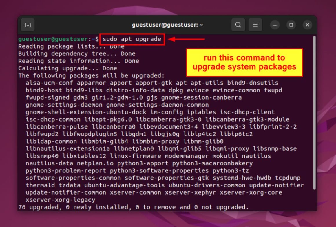 How to Install Python3 on Ubuntu [3 Best Methods]