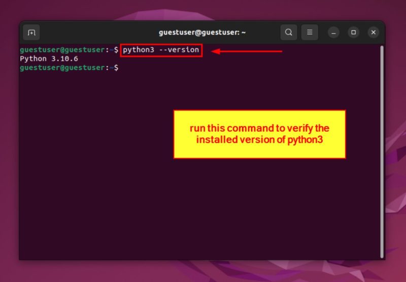 How to Install Python3 on Ubuntu [3 Best Methods]