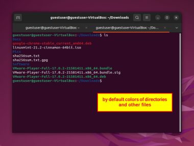 How to Change Colors for ls in Bash [4 Best Methods]