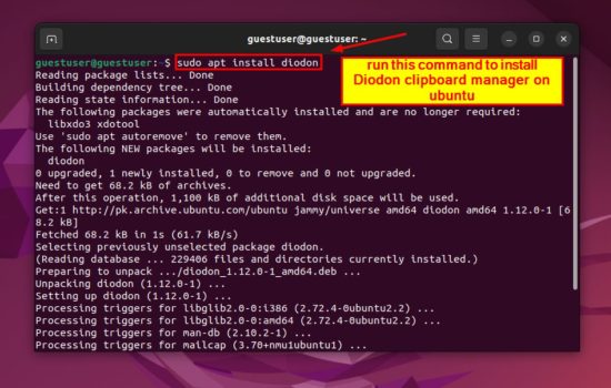 How To Copy and Paste in Linux Terminal[3 Best Methods]