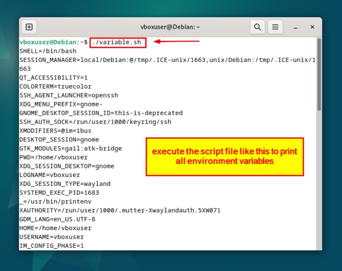 how-to-print-env-variable-linux-5-best-methods