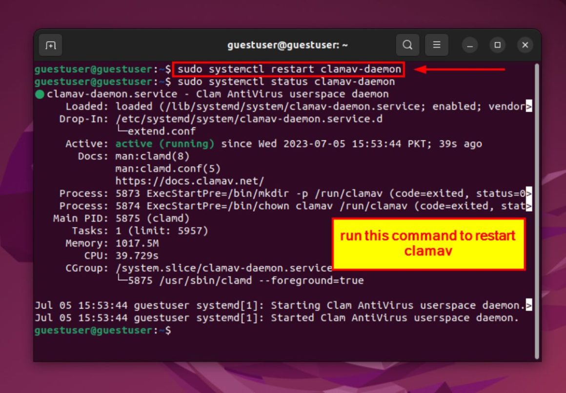 How to Install ClamAV on Ubuntu [12 Easy Steps]
