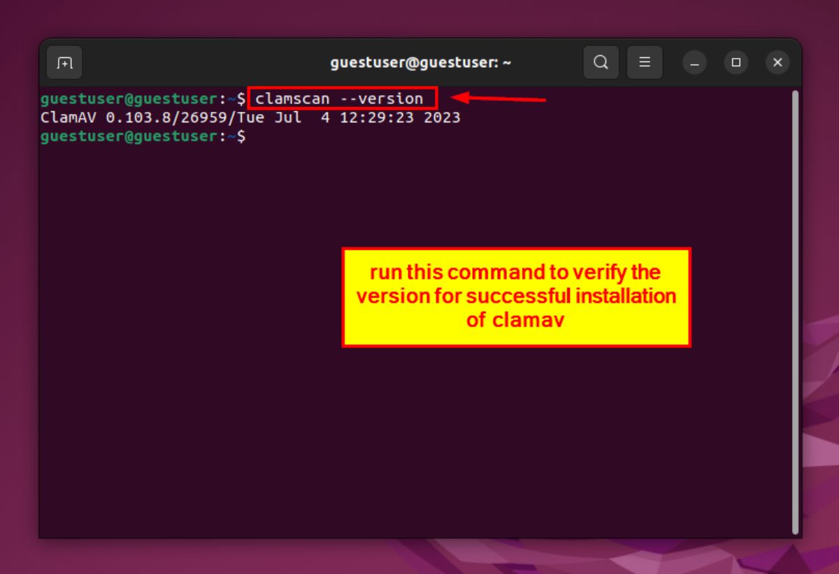 How to Install ClamAV on Ubuntu [12 Easy Steps]