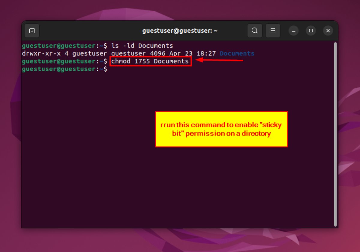 3 Easy Ways To Set Special Permission in Linux?
