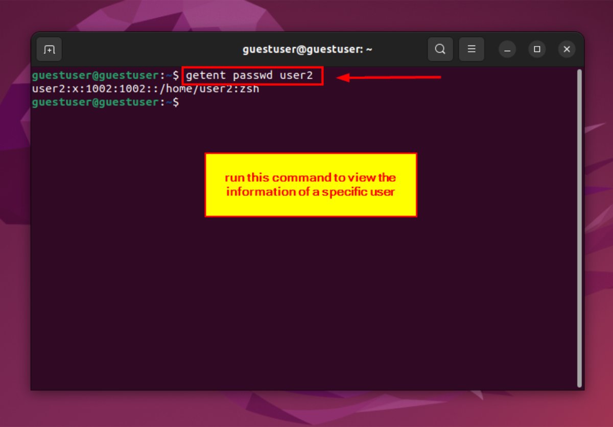 How to Find UID of a User in Linux [3 Best Methods]