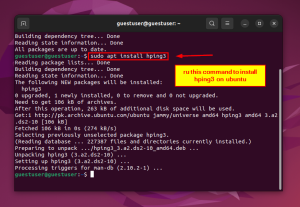 How to Do a UDP Ping in Linux [3 Effective Methods]