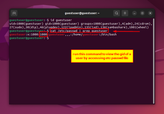 How to Find UID of a User in Linux [3 Best Methods]