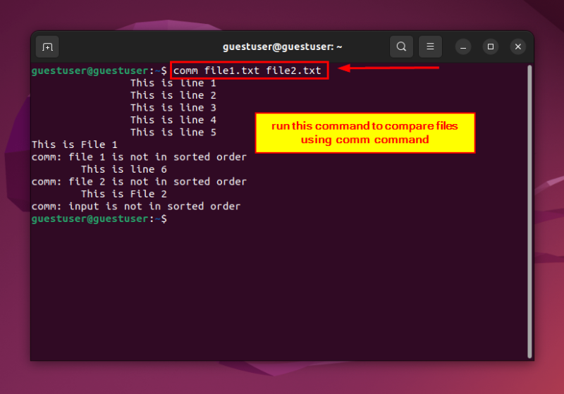 How to Compare Two Files Linux [3 Effective Methods]