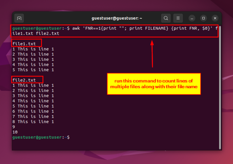 How to Count Lines in File Linux [8 Simple Methods]