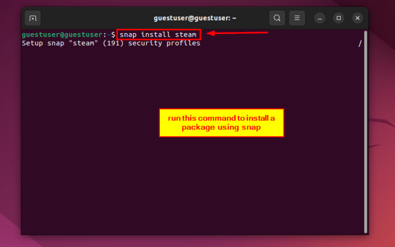installing a package using snap