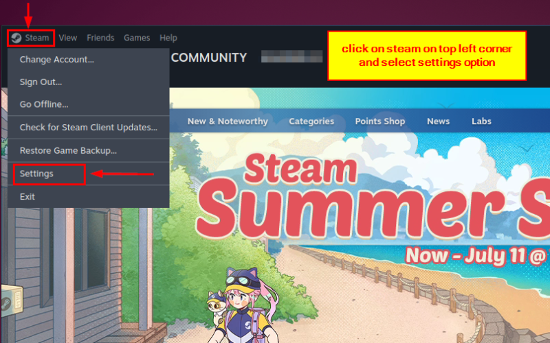 opening steam settings 1