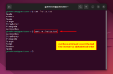How To Install Debian on VirtualBox in 12 Simple Steps